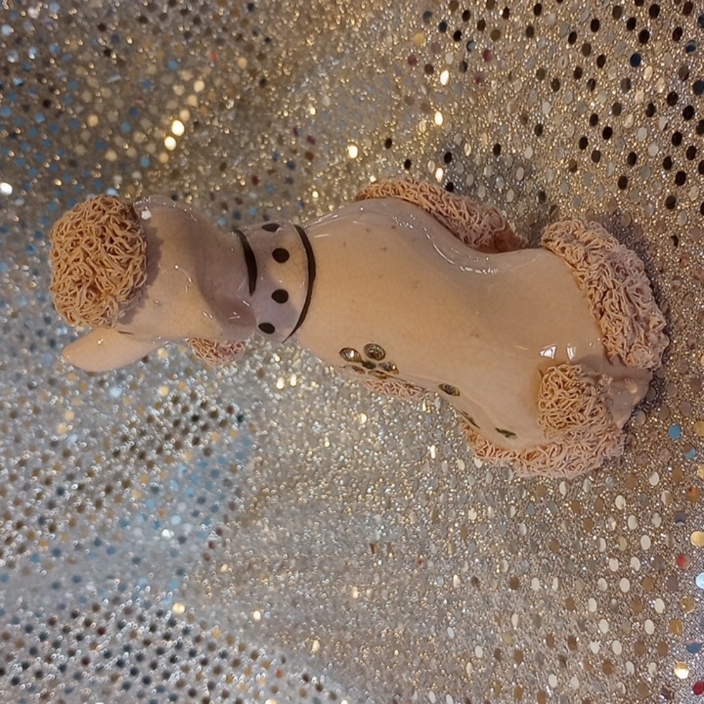 Spaghetti Poodle - Picture 3 of 4